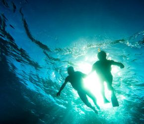 Silhouette of senior couple swimming together in tropical sea - Snorkeling tour in exotic scenarios - Concept of active elderly and fun around the world - Soft focus due to backlight and water density